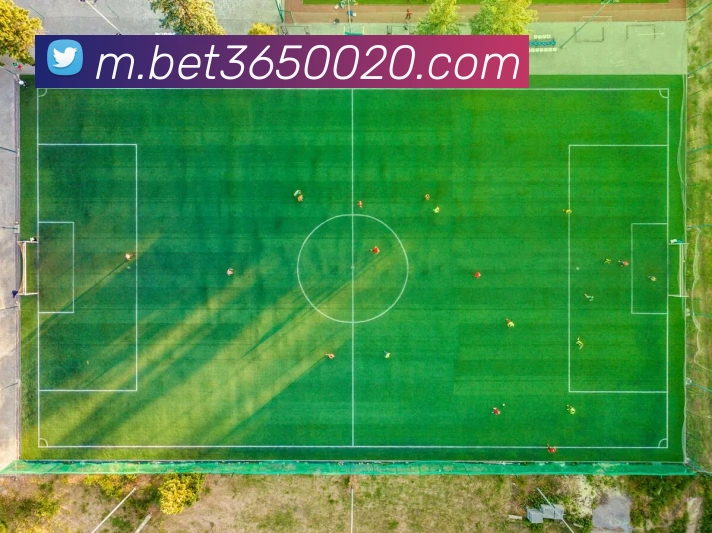 bet365中国官网服务体系